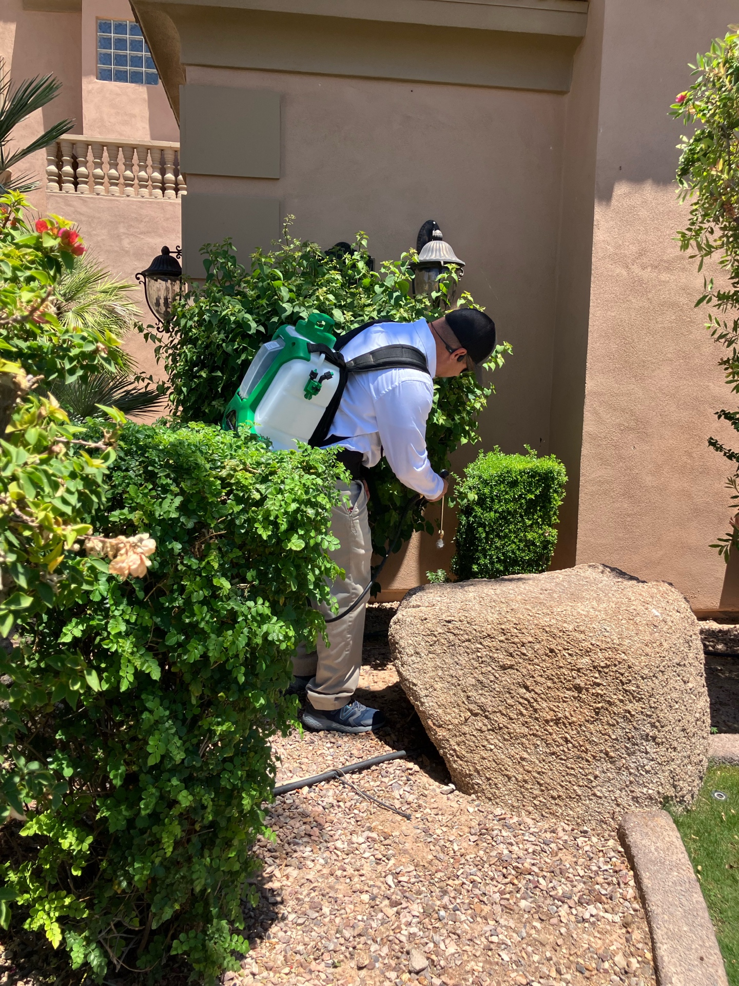 General Pest Control