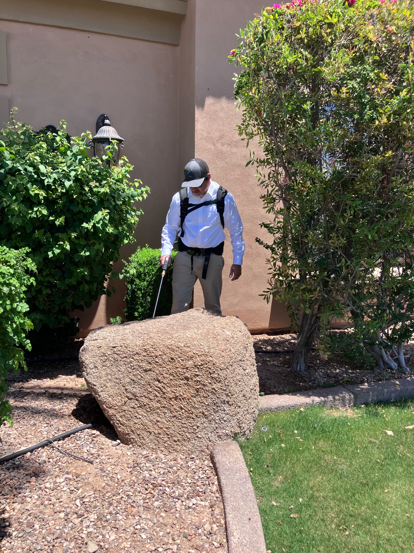 Matt treating desert landscaping and boulder areas for scorpions in Mesa