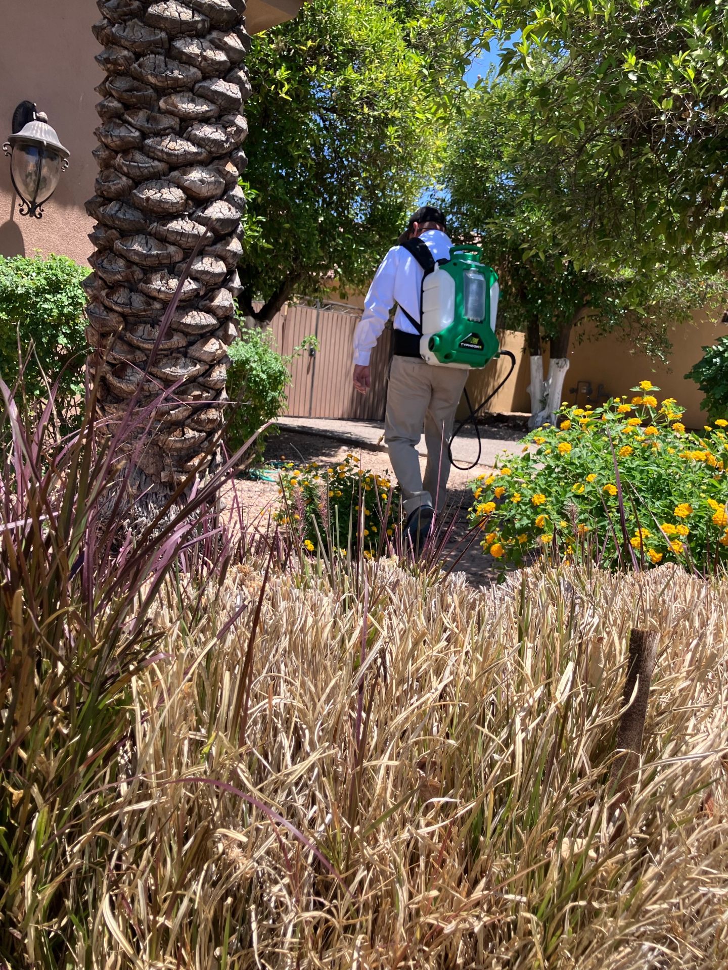 Matt treating a Mesa backyard with professional backpack sprayer